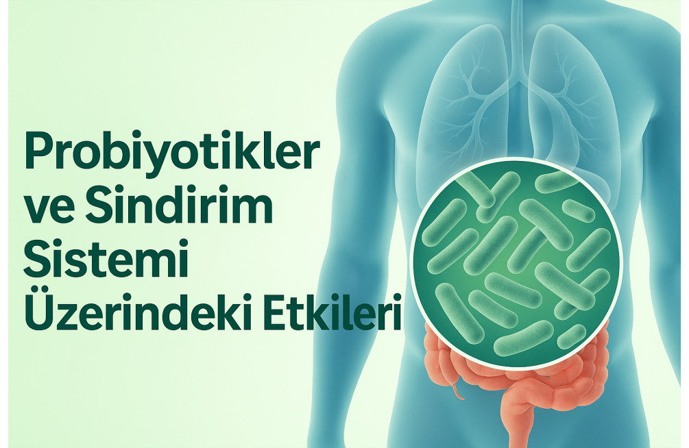 Son Yazılar Son Yazılar