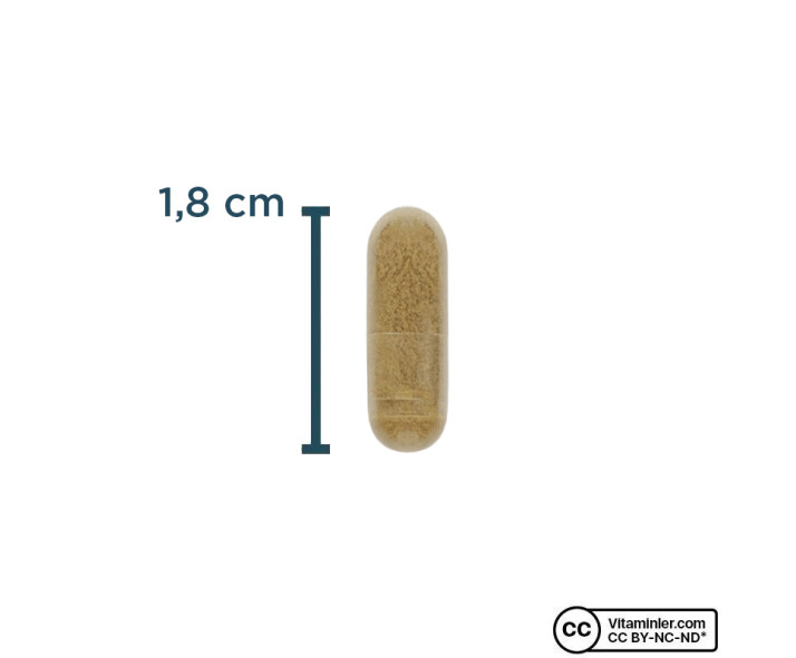 Puritan's Pride Tribulus Terrestris 250 Mg 90 Kapsül